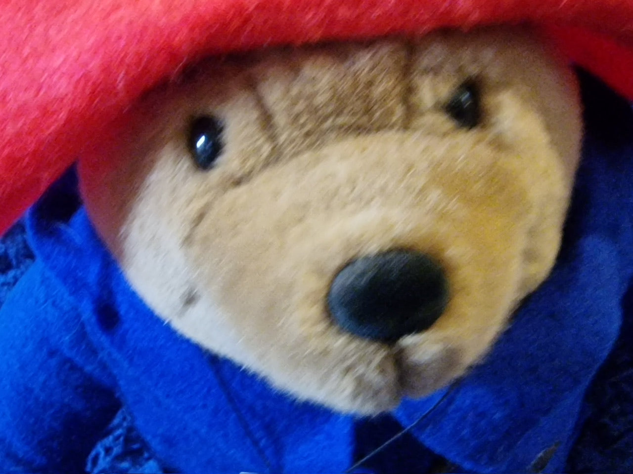 Vintage Paddington order Bear